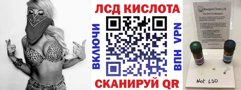 Купить где Кадников Наркотические марки 1500мкг
