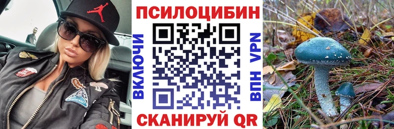 Купить закладки  Кадников  Псилоцибиновые грибы ЛСД 